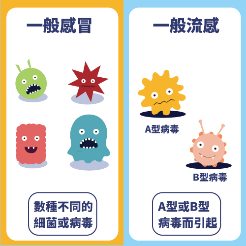 一般感冒是由數種不同的細菌或病毒引起的，一般流感是由A型或B型病毒引起的